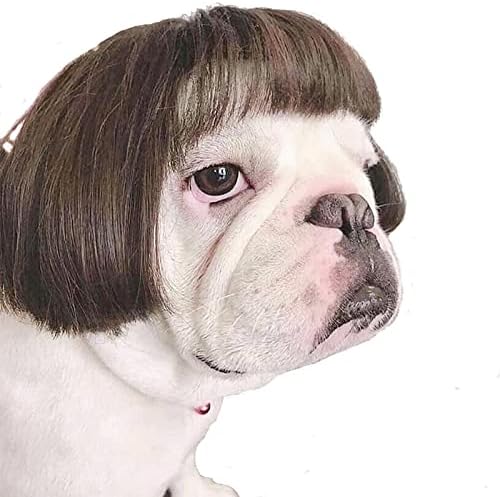 Funny Pet Costume Wigs