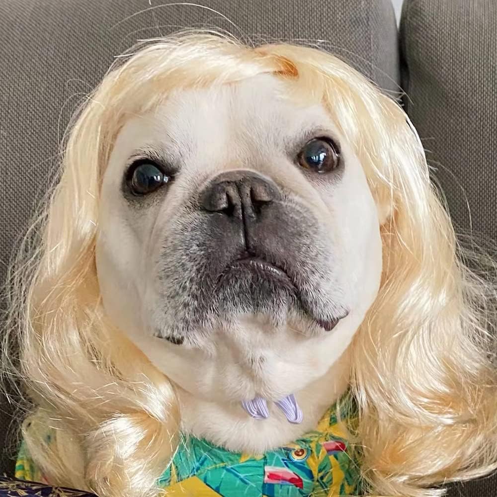 Funny Pet Costume Wigs