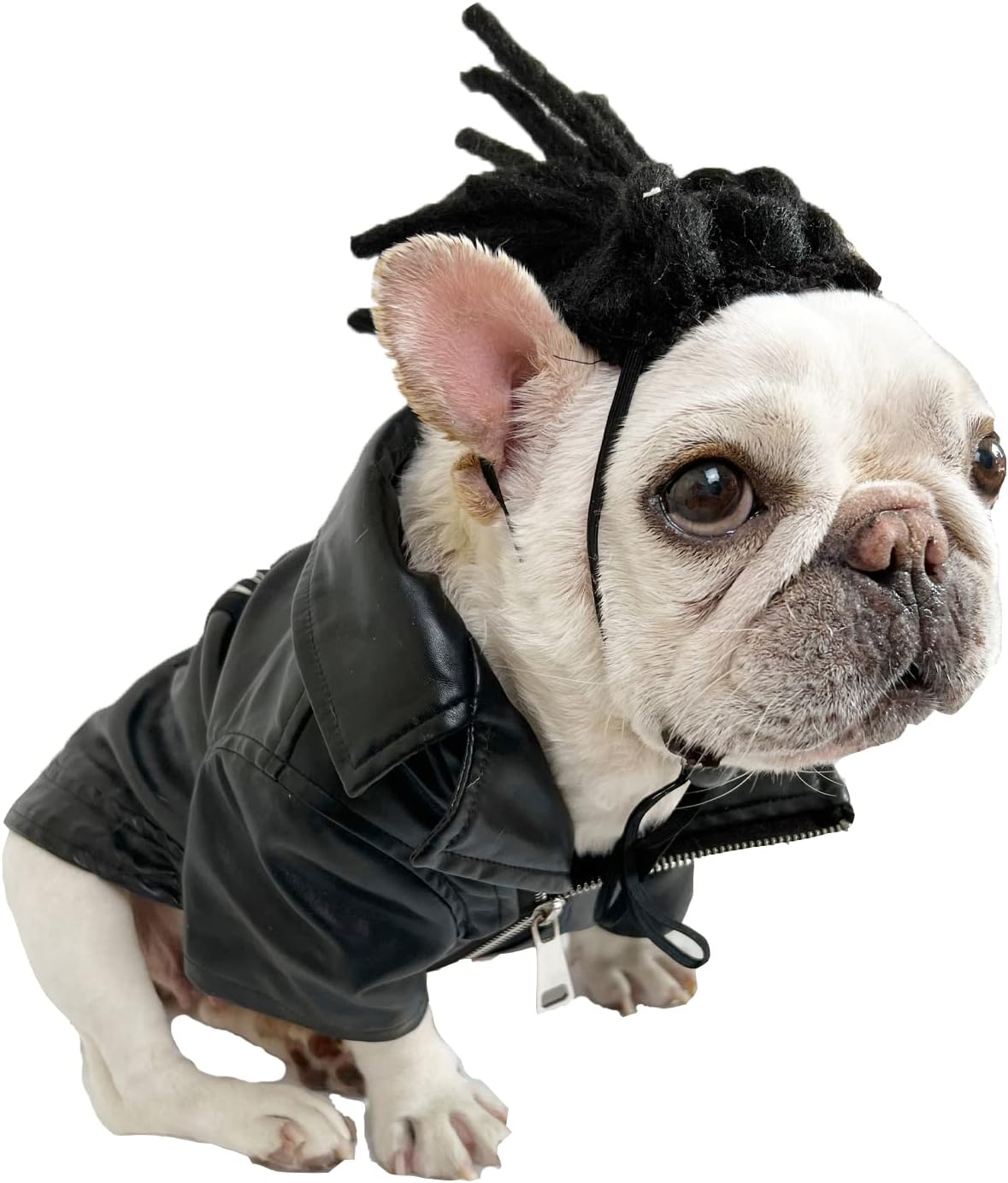Funny Pet Costume Wigs