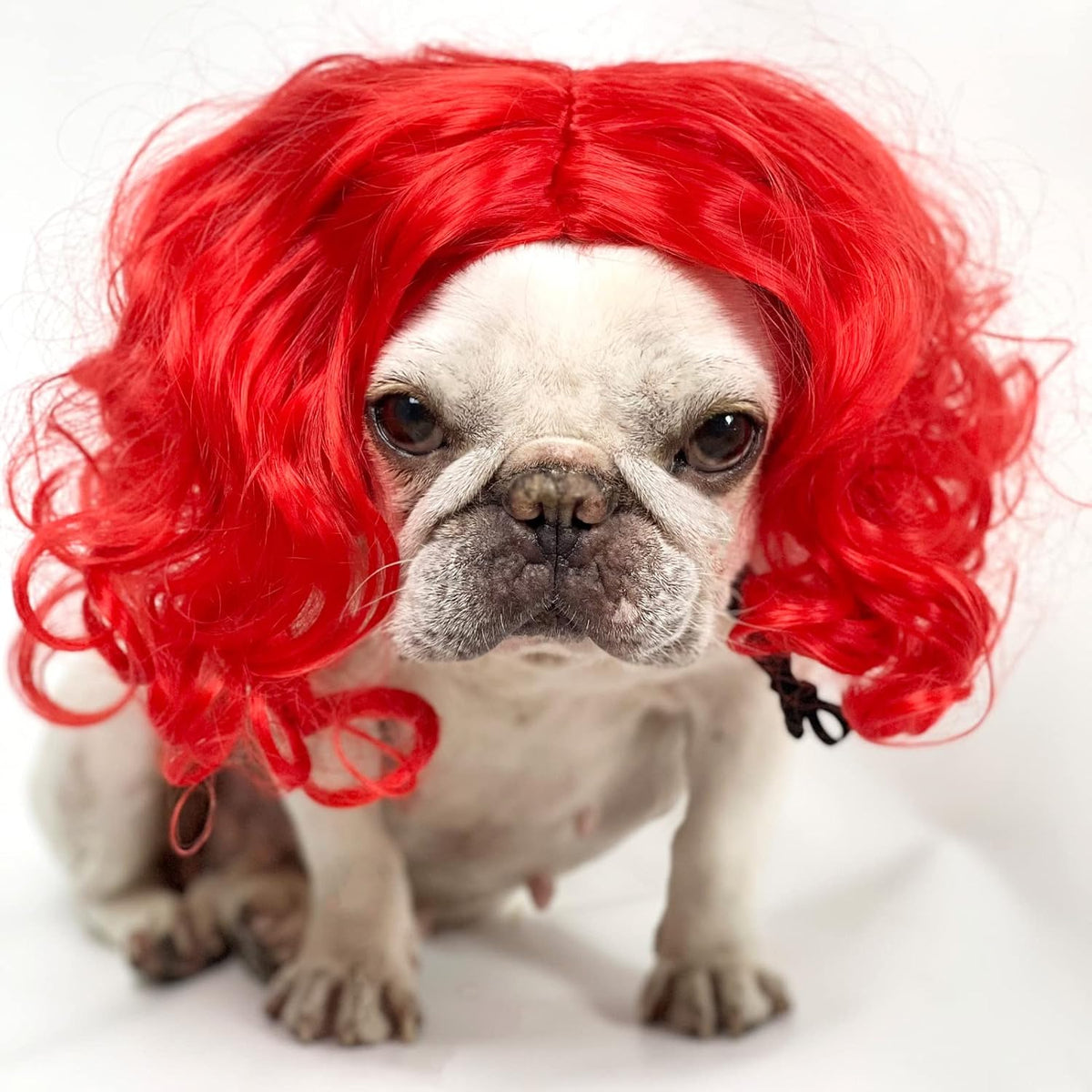 Funny Pet Costume Wigs