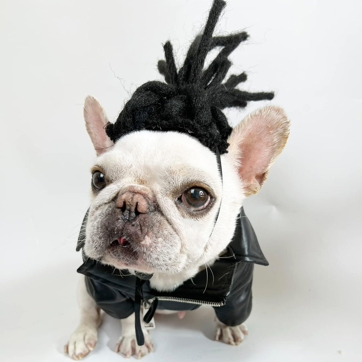 Funny Pet Costume Wigs