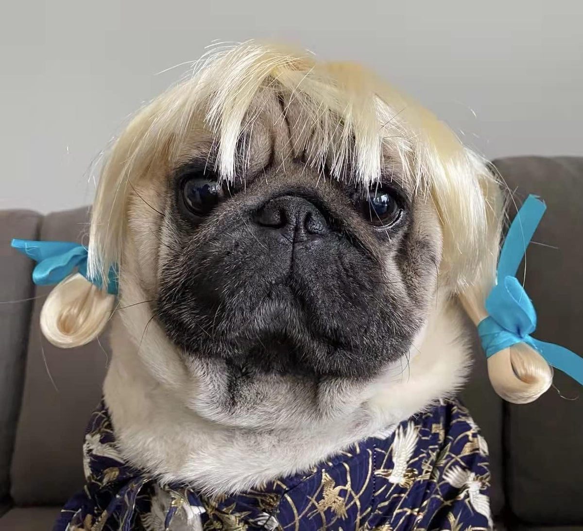 Funny Pet Costume Wigs