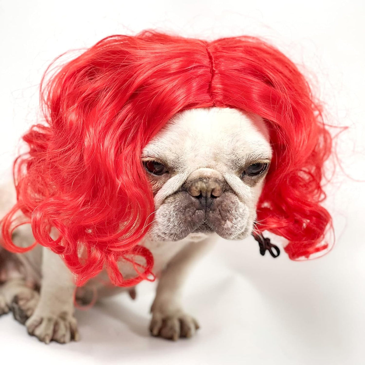 Funny Pet Costume Wigs