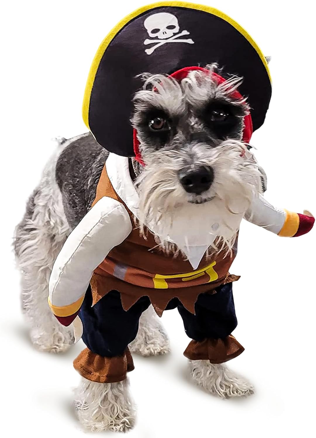 Pirate Dog Costume