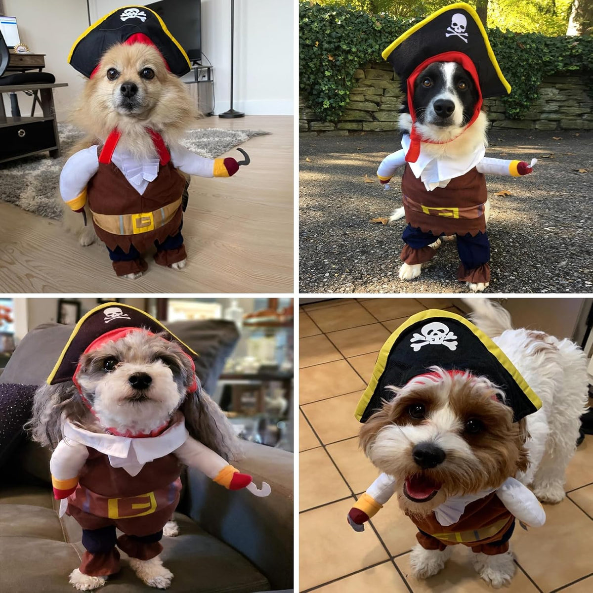 Pirate Dog Costume