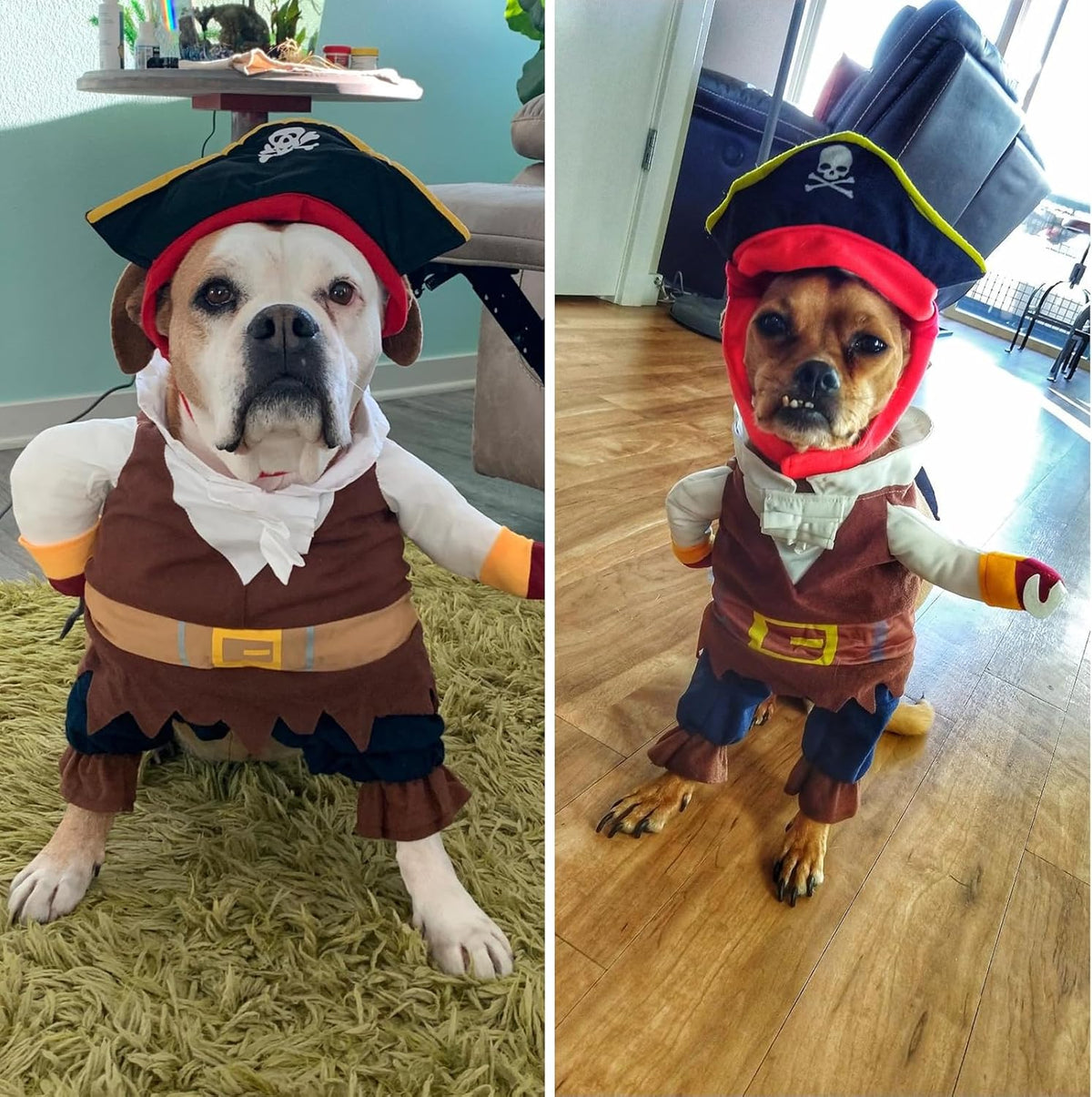 Pirate Dog Costume