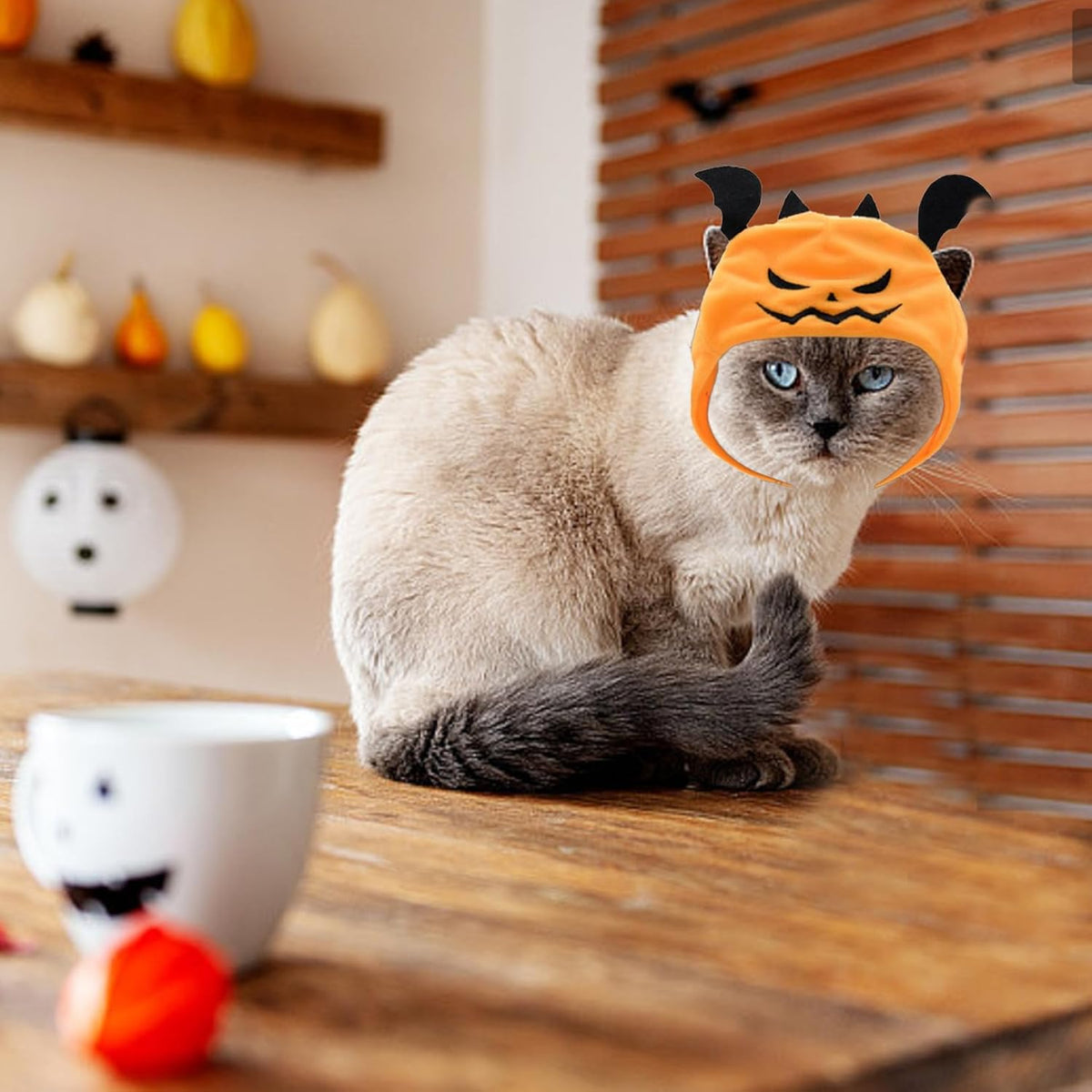 Adjustable Pumpkin Pet Hat