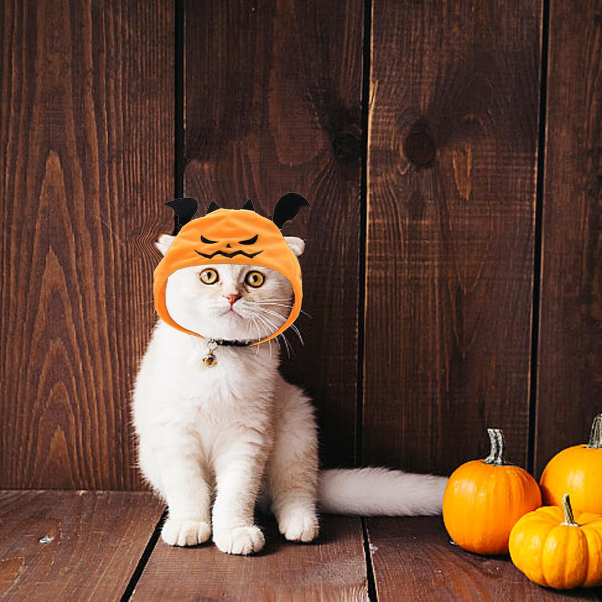 Adjustable Pumpkin Pet Hat