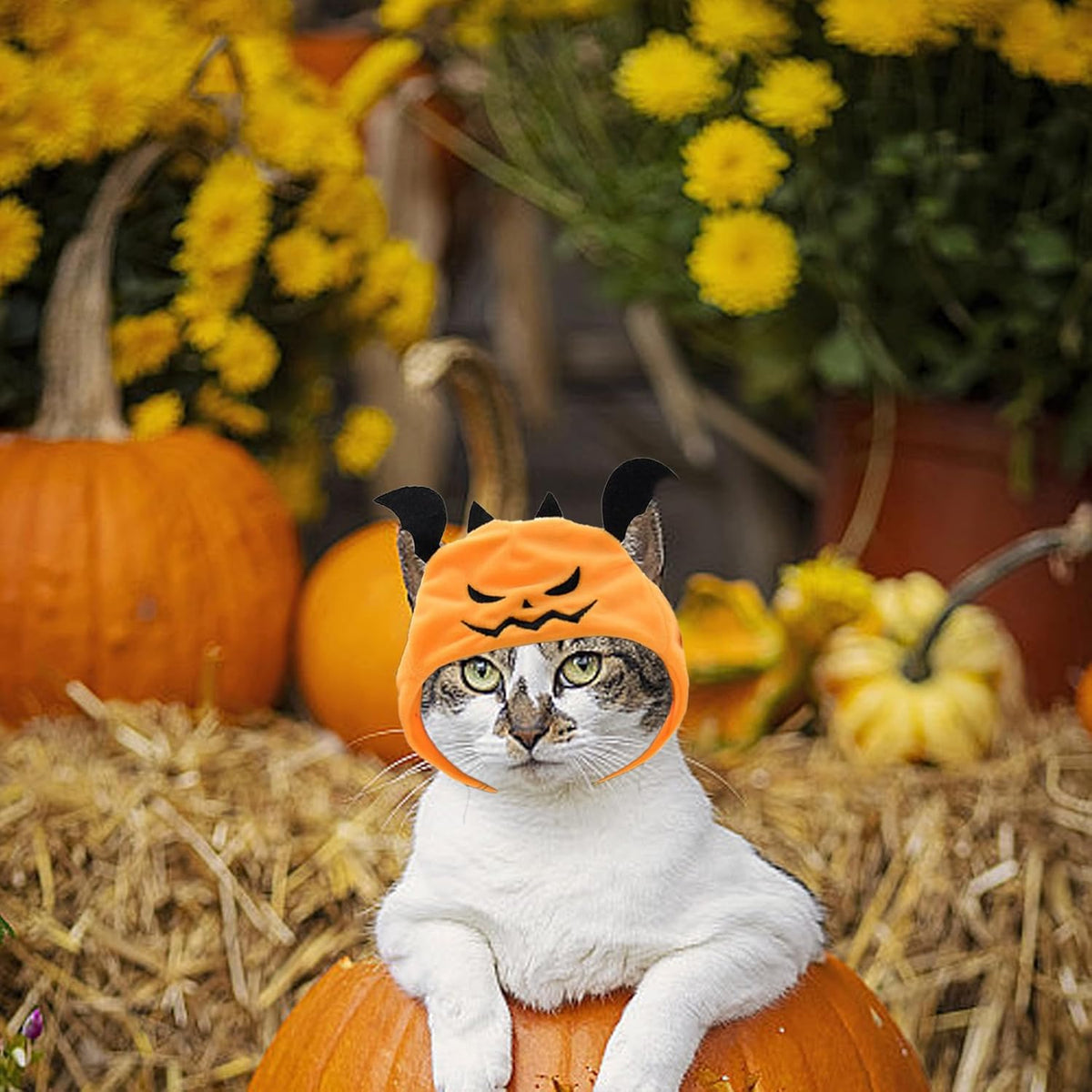 Adjustable Pumpkin Pet Hat