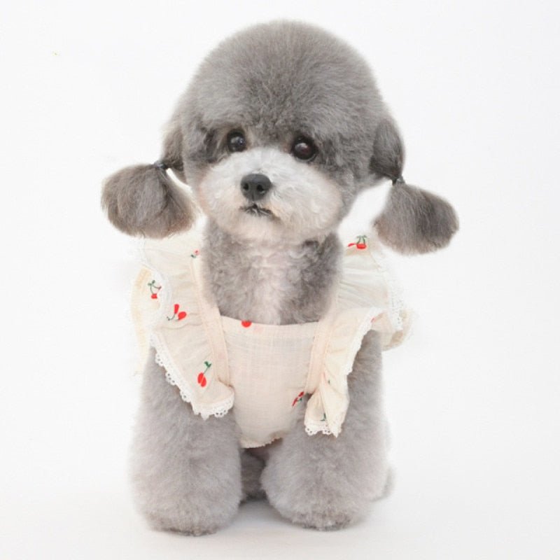Cherry Print Pet Dress & Hat