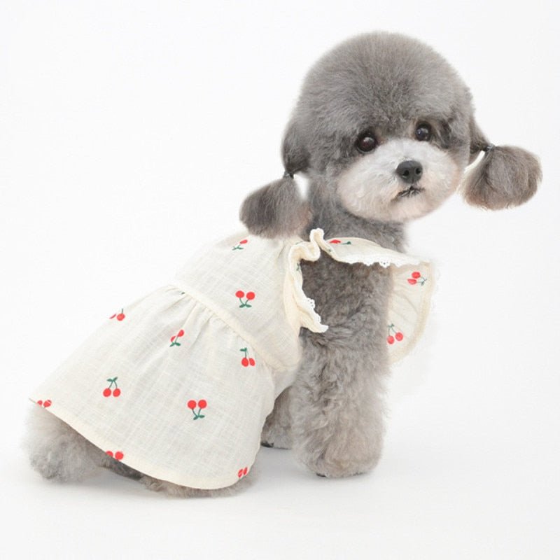 Cherry Print Pet Dress & Hat