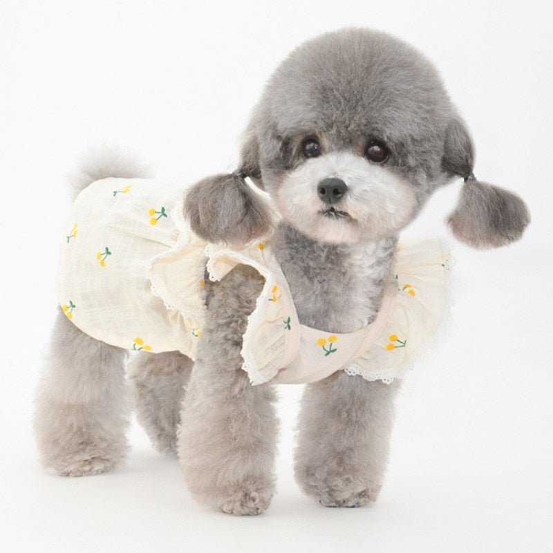 Cherry Print Pet Dress & Hat