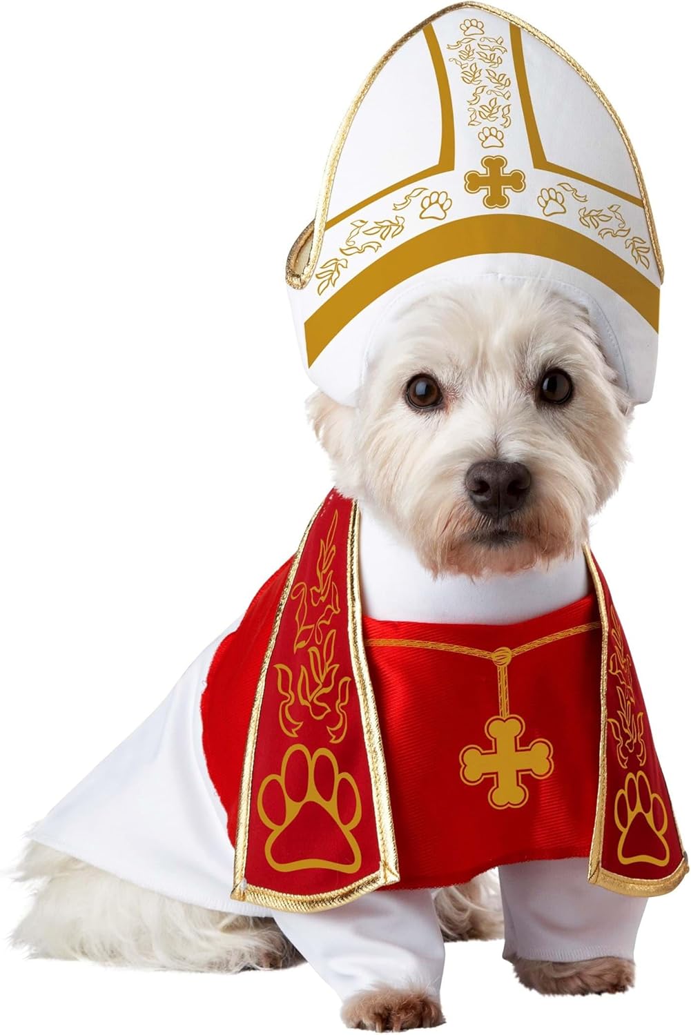 Pope Dog Costume
