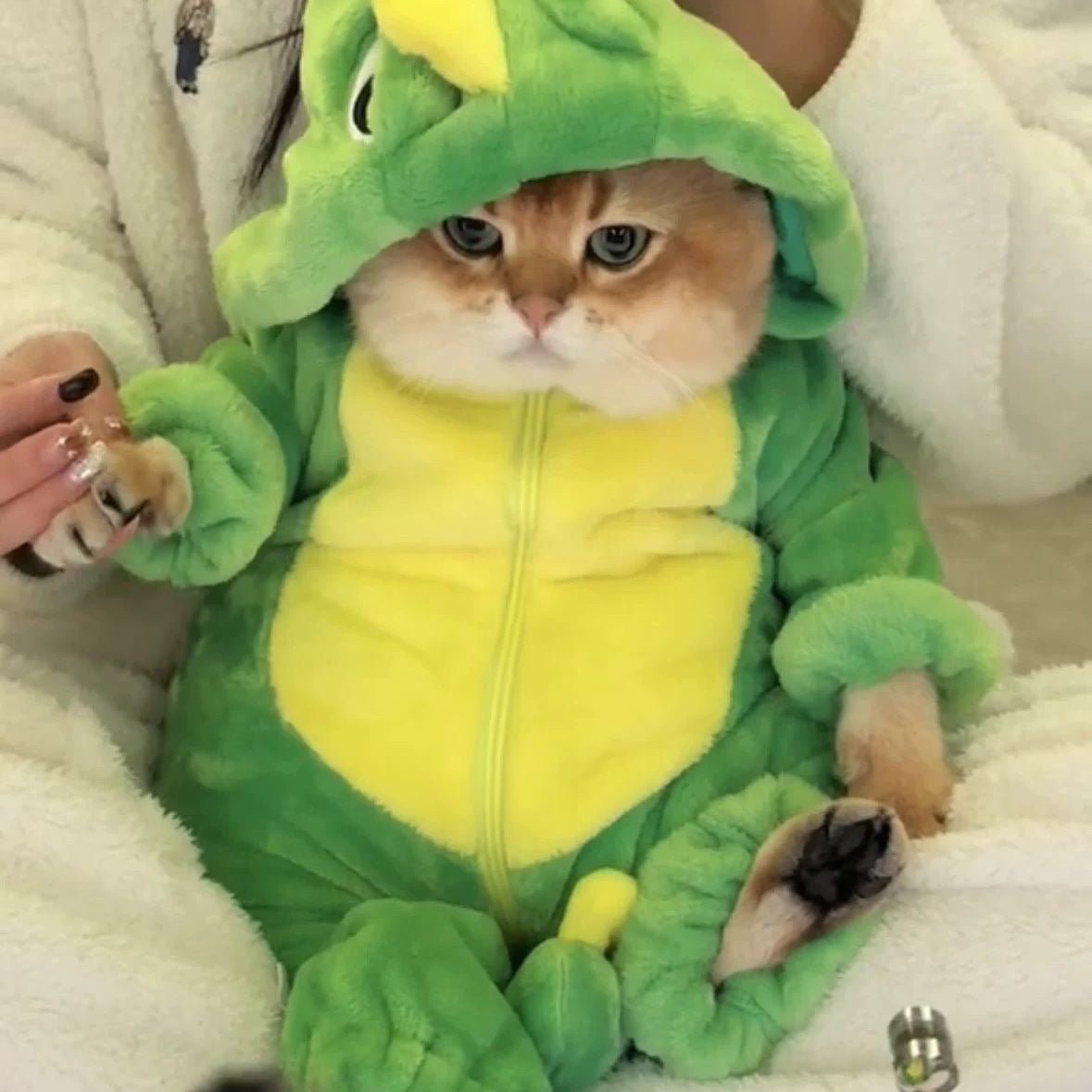 Dinosaur Pet Bodysuit