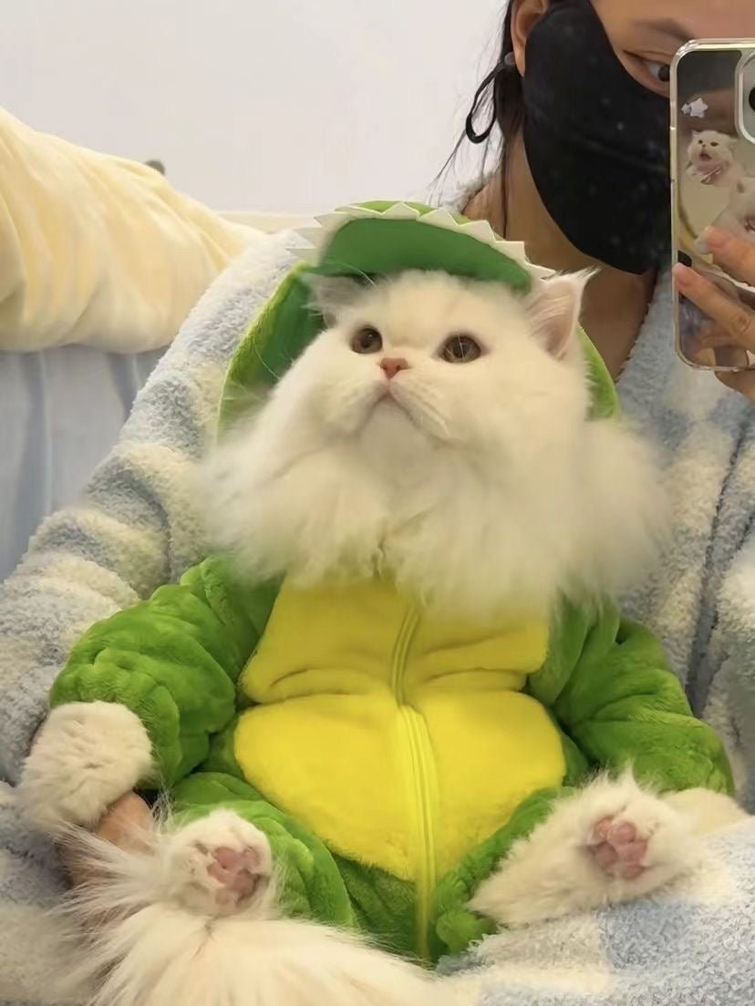 Dinosaur Pet Bodysuit