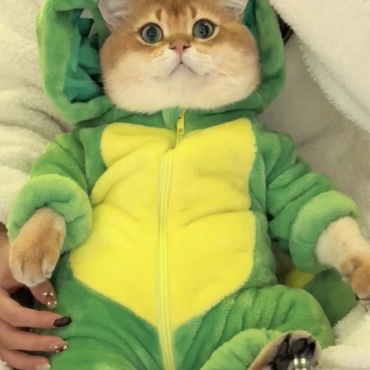 Dinosaur Pet Bodysuit