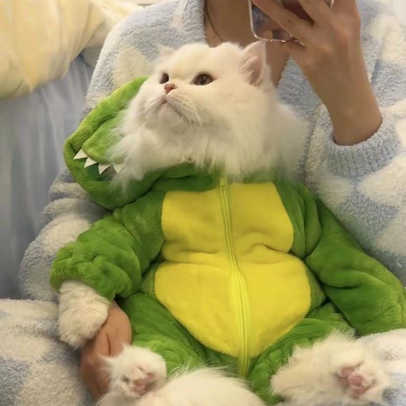 Dinosaur Pet Bodysuit