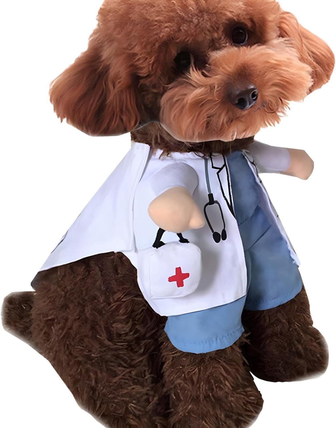 Doctor Pet Costume