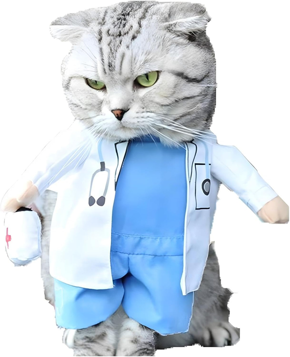 Doctor Pet Costume