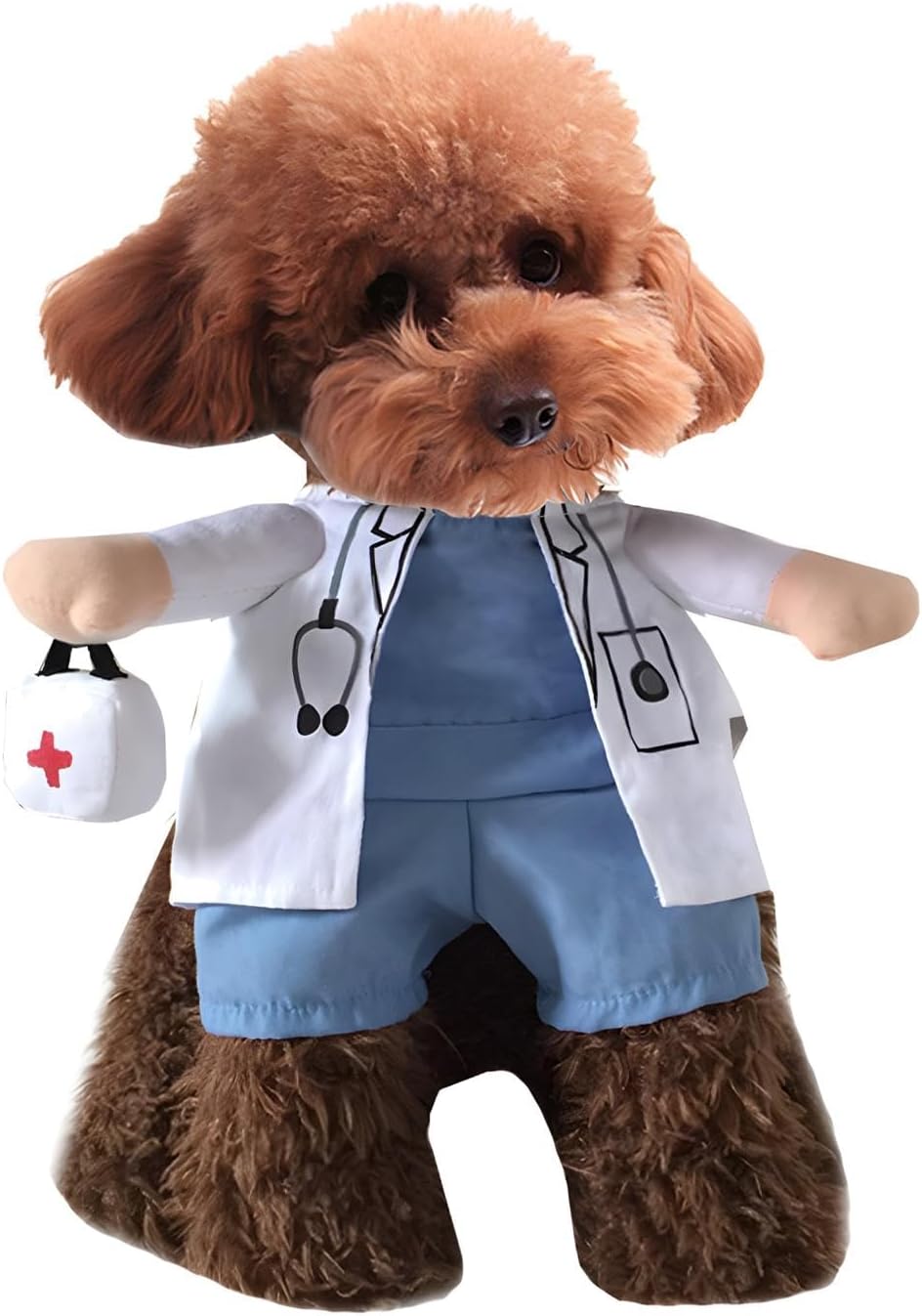 Doctor Pet Costume