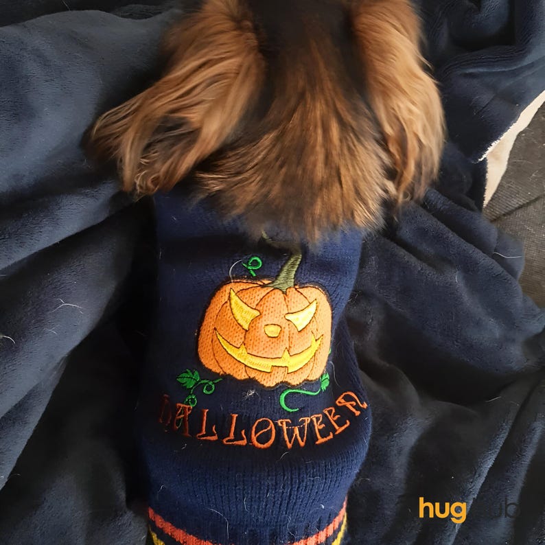 Halloween Crochet Pet Sweater