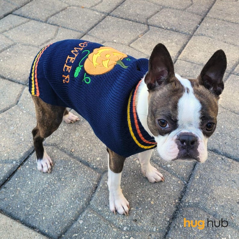 Halloween Crochet Pet Sweater