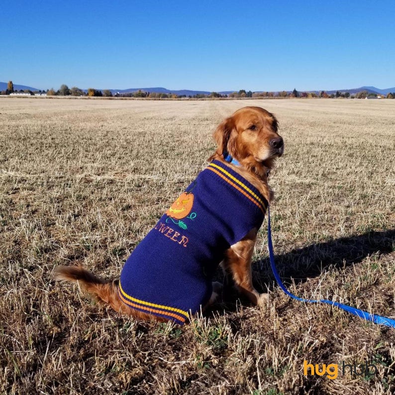 Halloween Crochet Pet Sweater