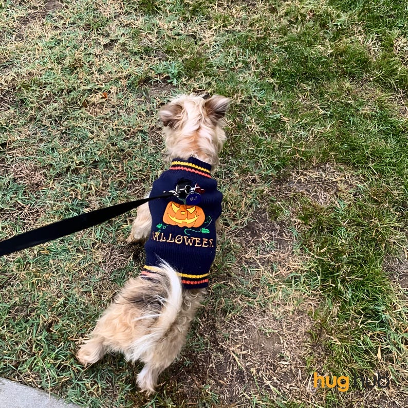 Halloween Crochet Pet Sweater