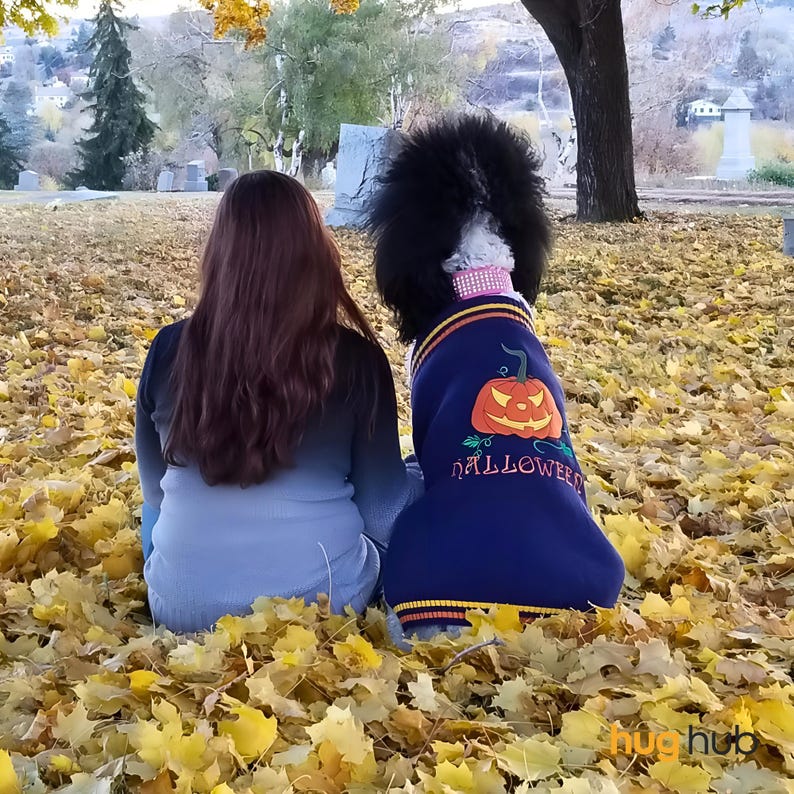 Halloween Crochet Pet Sweater