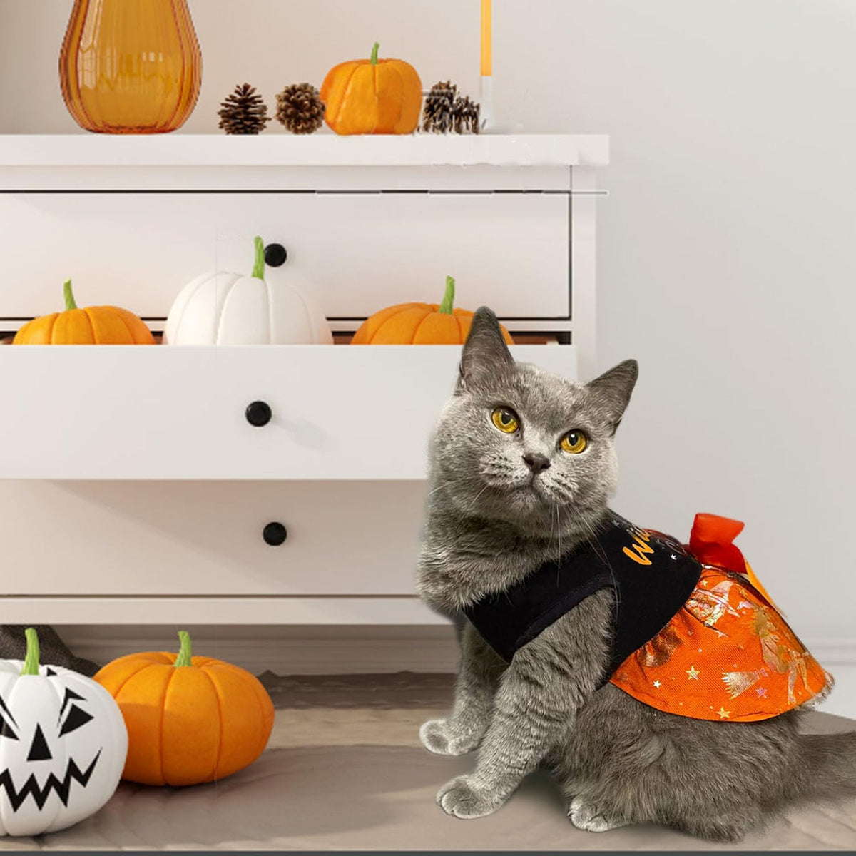 Halloween Tulle Dog Dress
