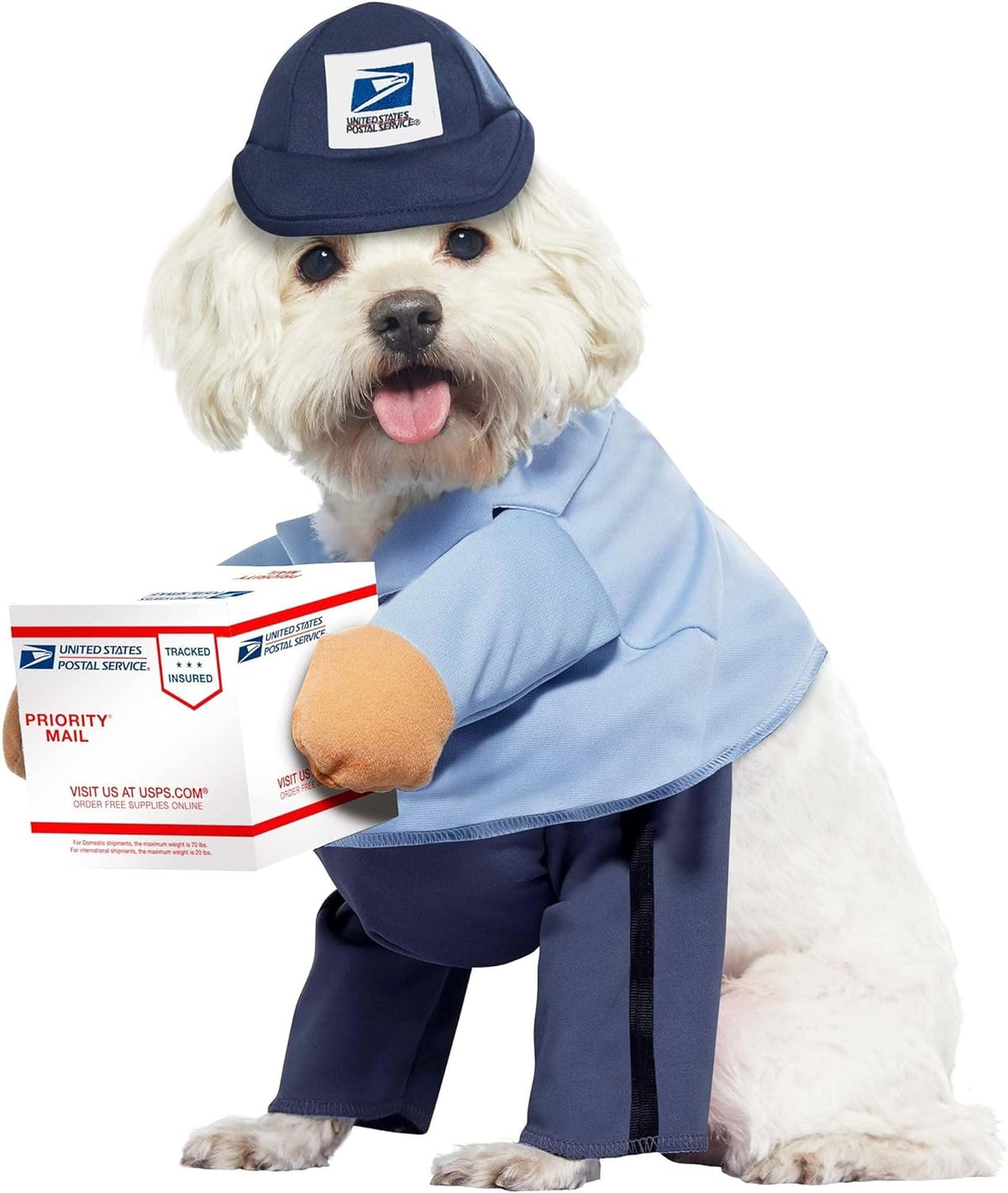Mail Carrier Dog Costume