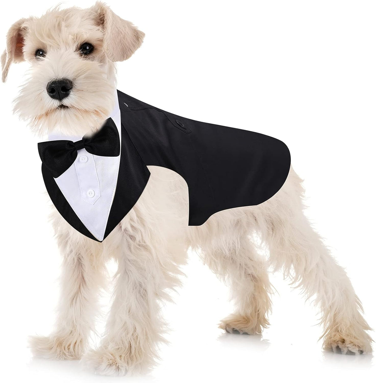 Dog Tuxedo & Bandana Set