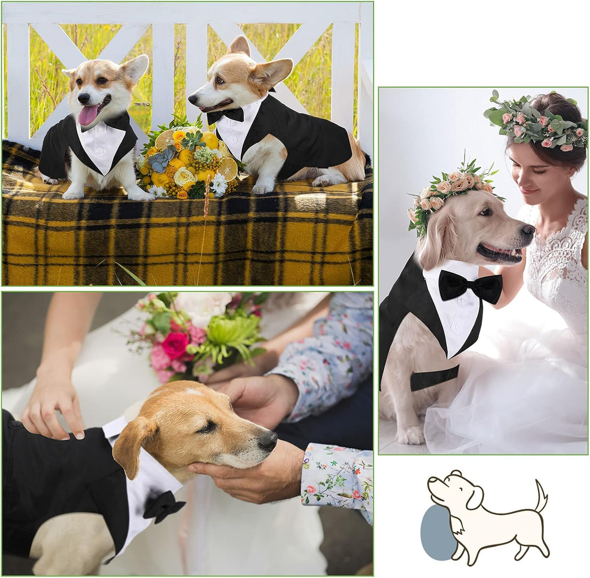 Dog Tuxedo & Bandana Set