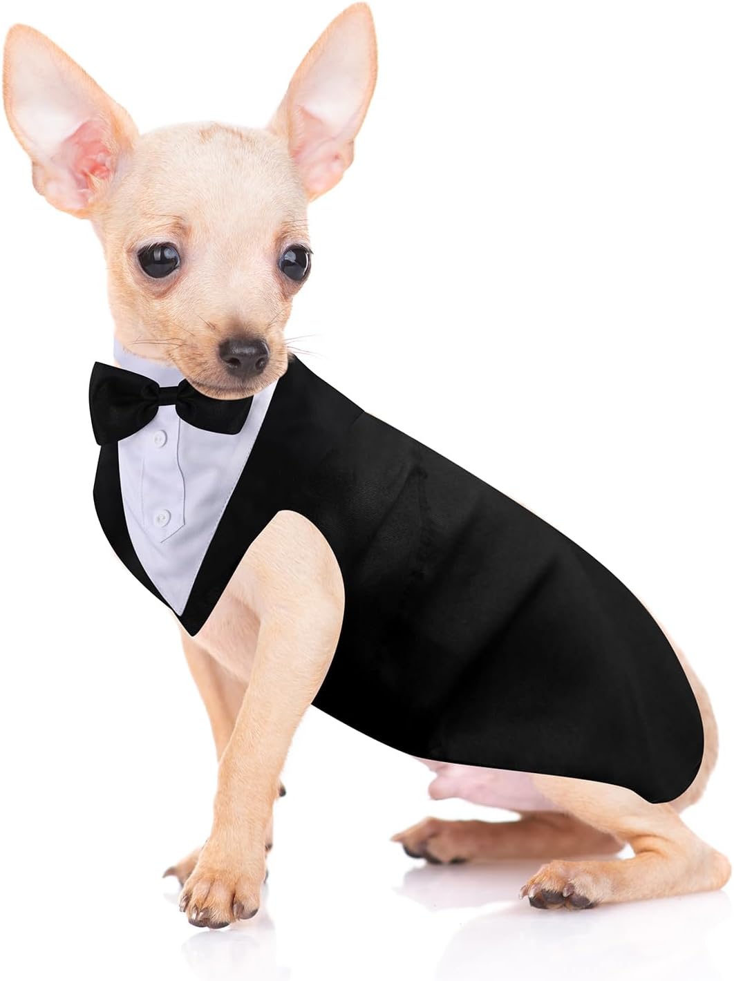 Dog Tuxedo & Bandana Set