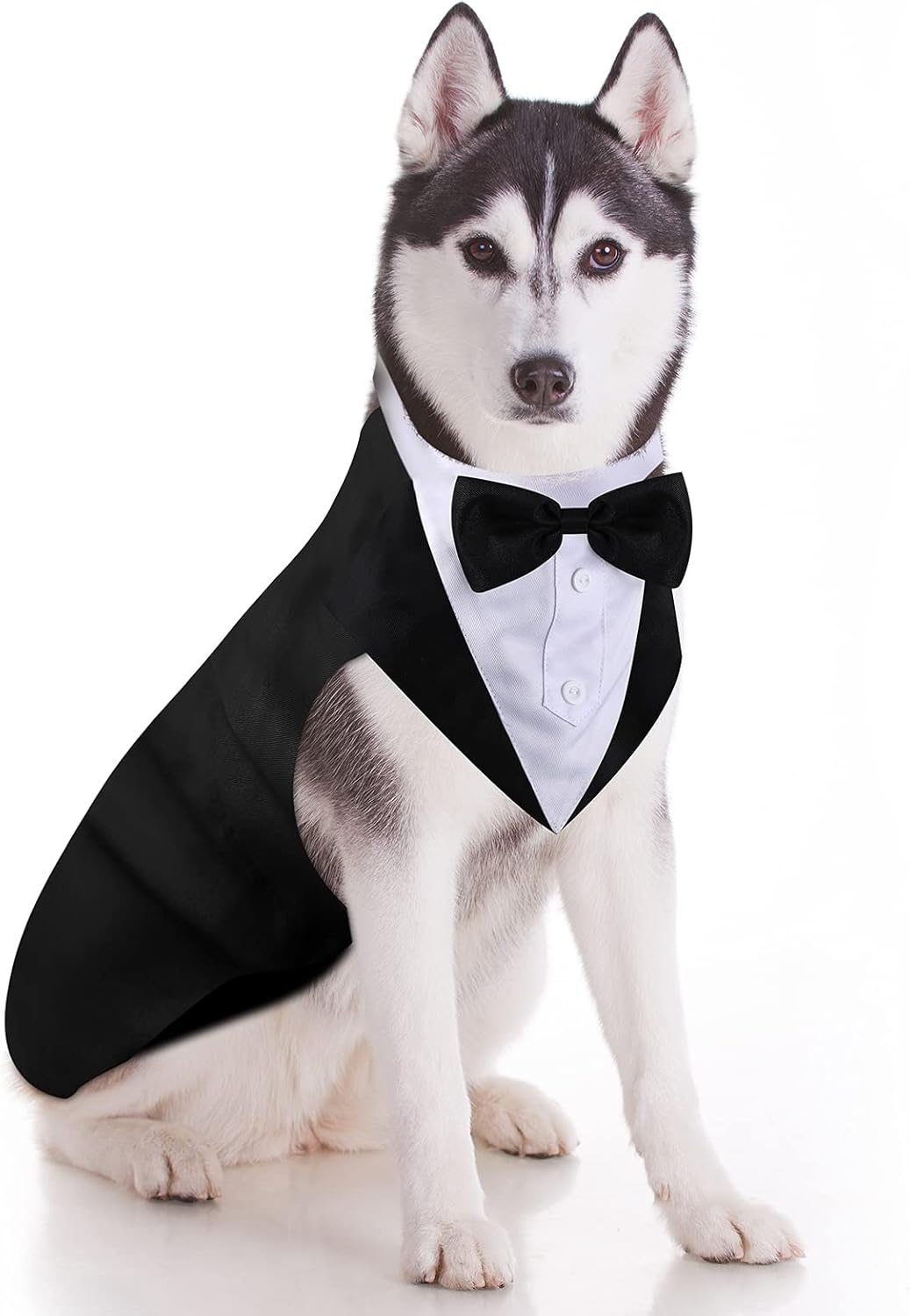Dog Tuxedo & Bandana Set