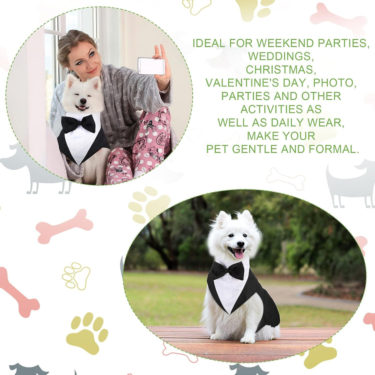 Dog Tuxedo & Bandana Set