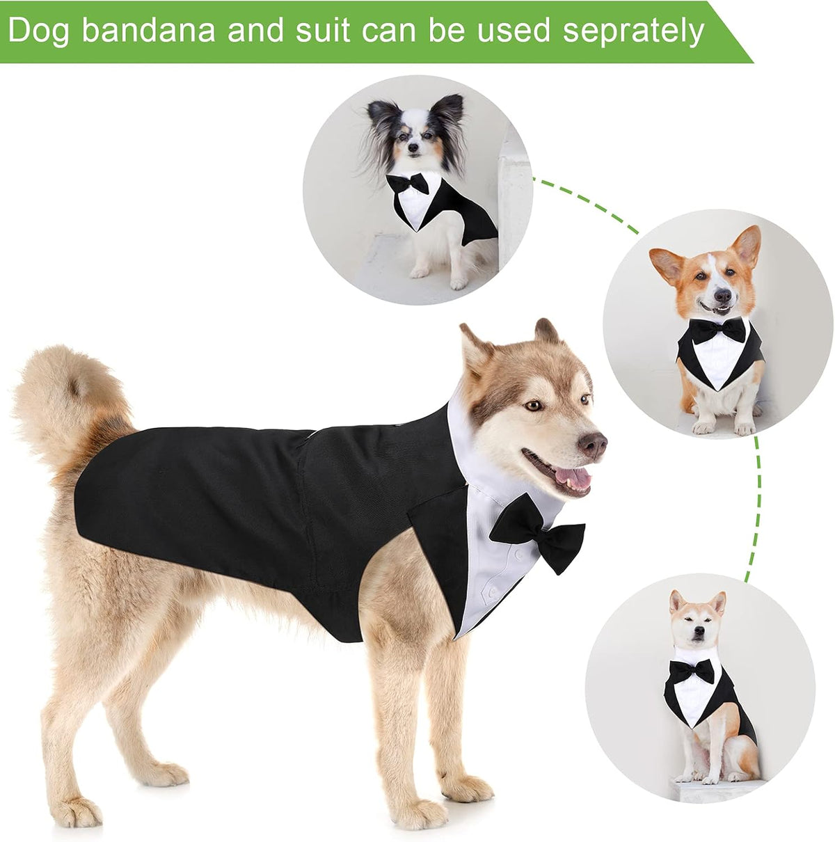 Dog Tuxedo & Bandana Set