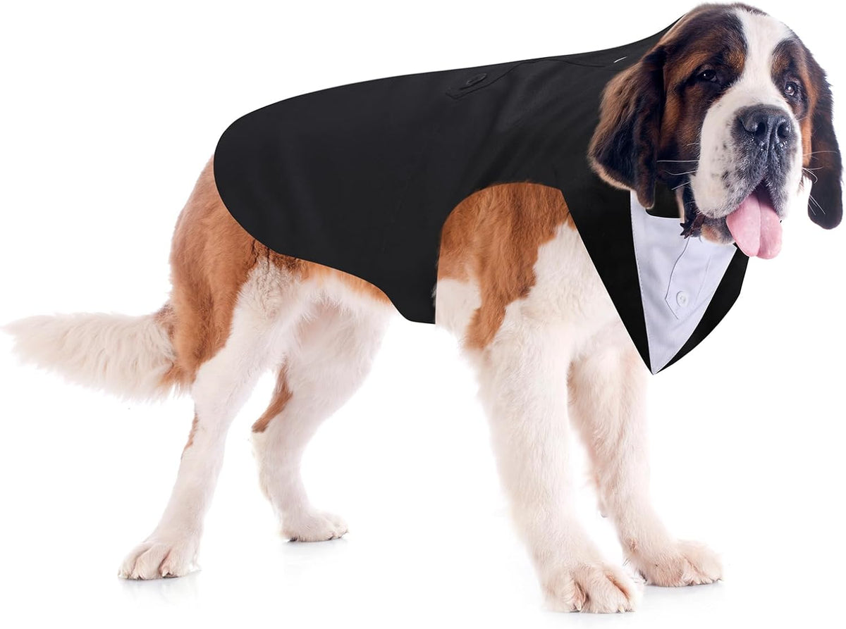 Dog Tuxedo & Bandana Set
