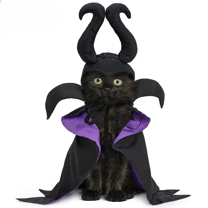 Witch Halloween Pet Costume