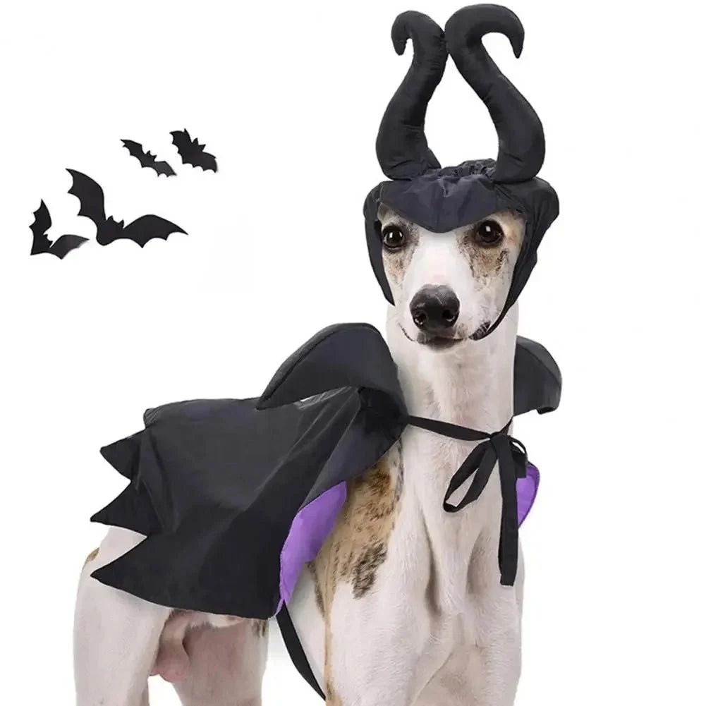 Witch Halloween Pet Costume
