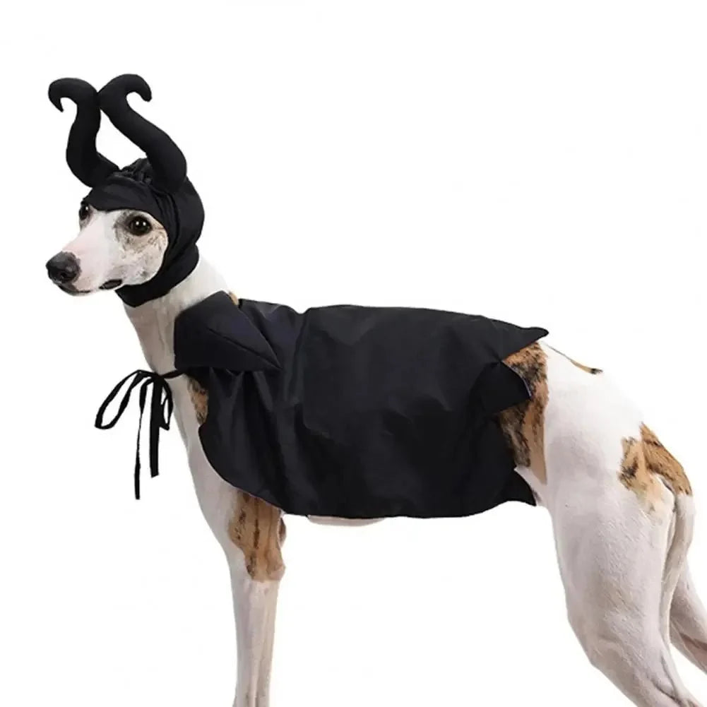 Witch Halloween Pet Costume