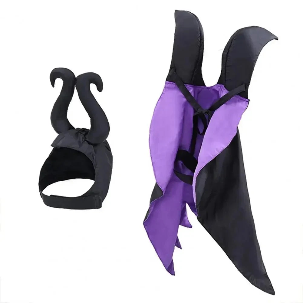 Witch Halloween Pet Costume