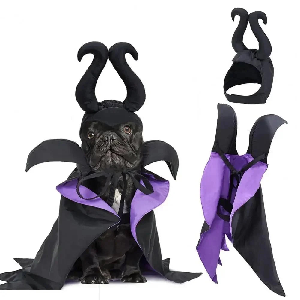 Witch Halloween Pet Costume