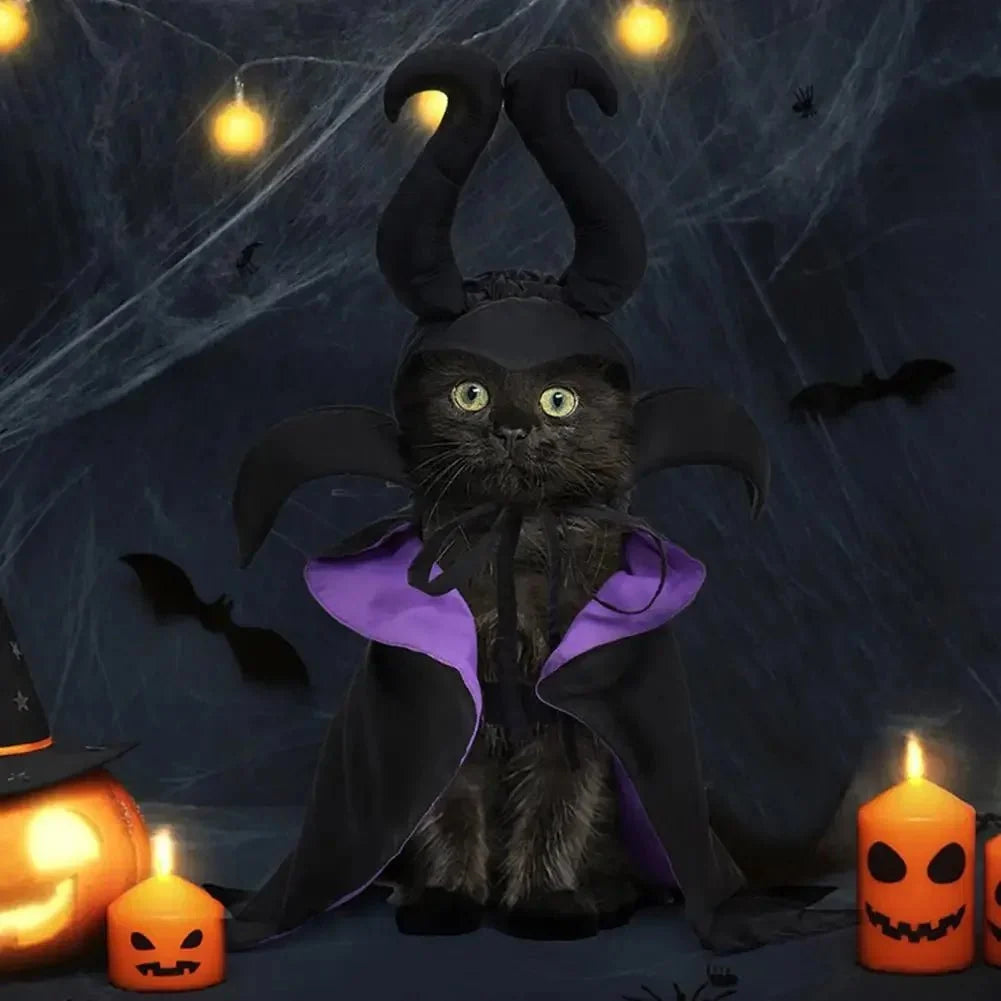 Witch Halloween Pet Costume