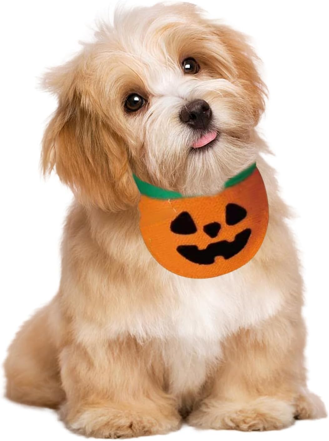 Halloween Pet Bandana