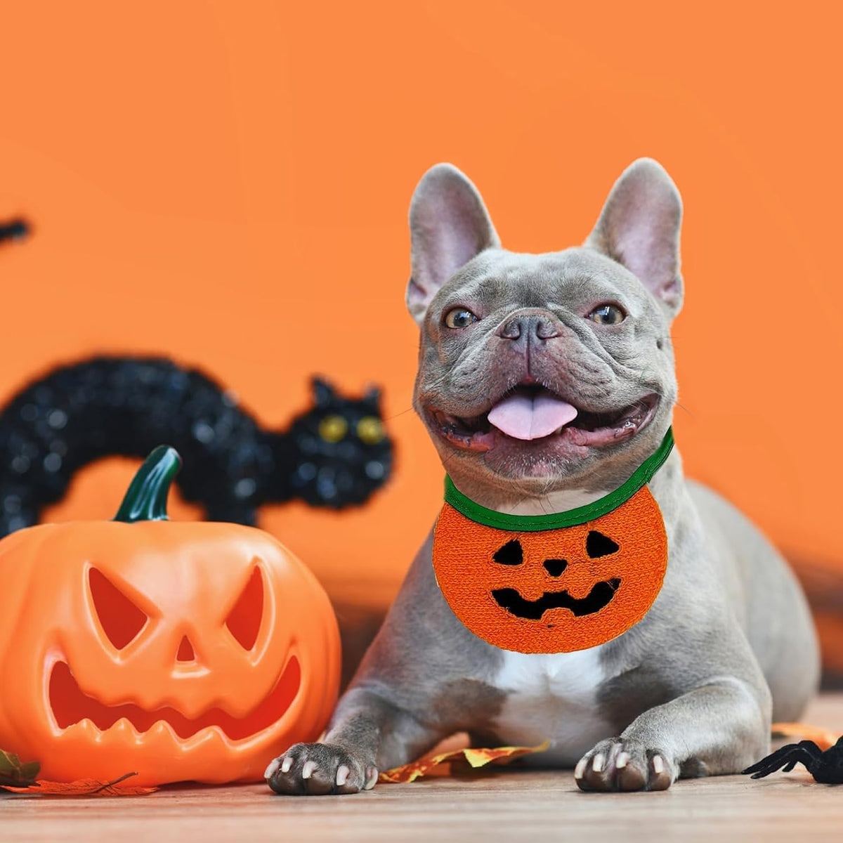 Halloween Pet Bandana