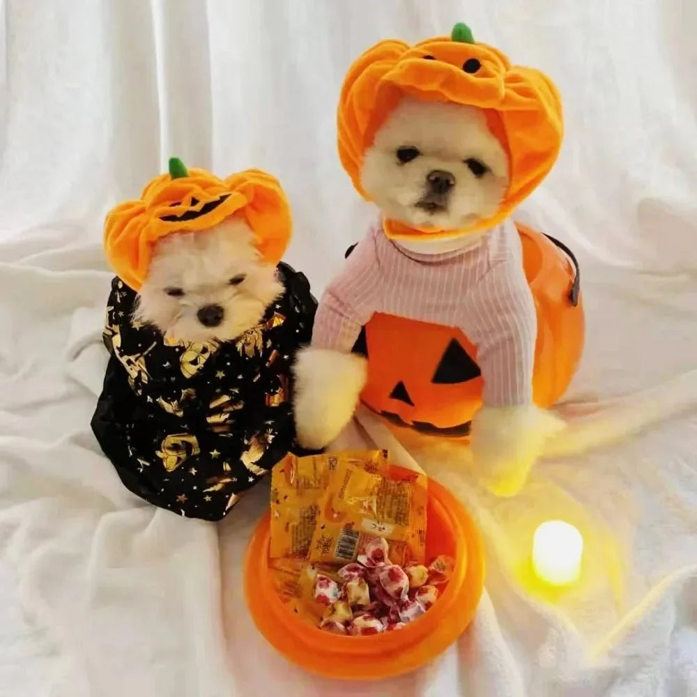 Pumpkin Halloween Pet Hat