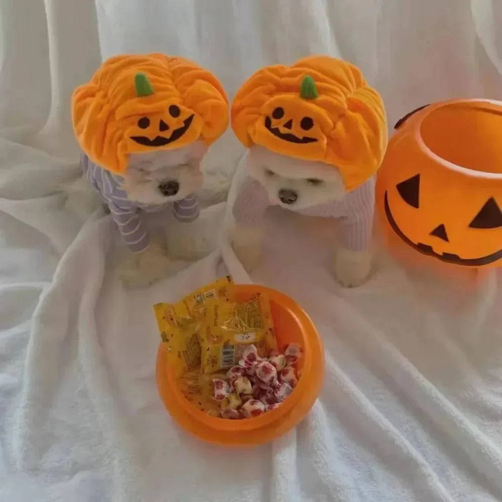 Pumpkin Halloween Pet Hat