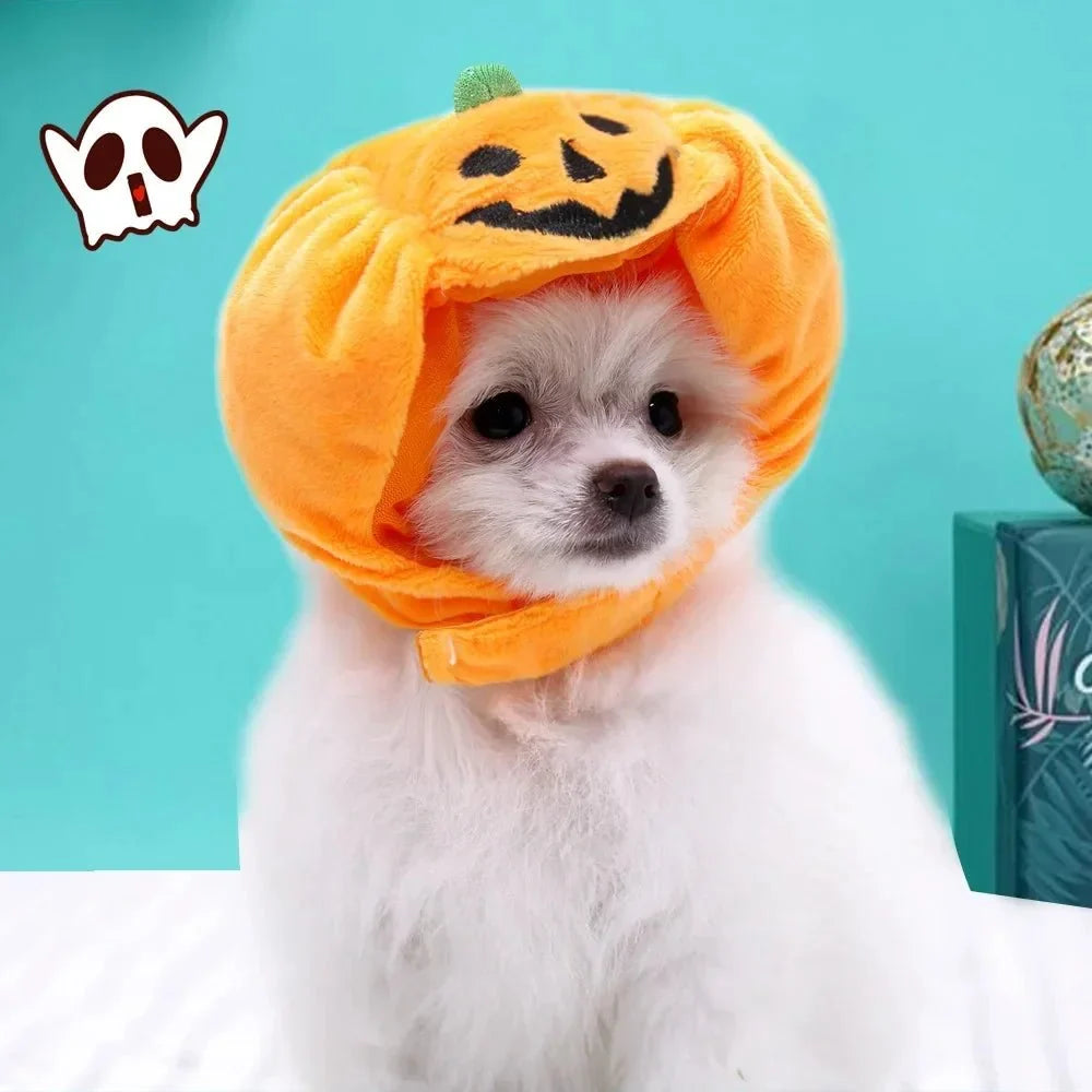 Pumpkin Halloween Pet Hat