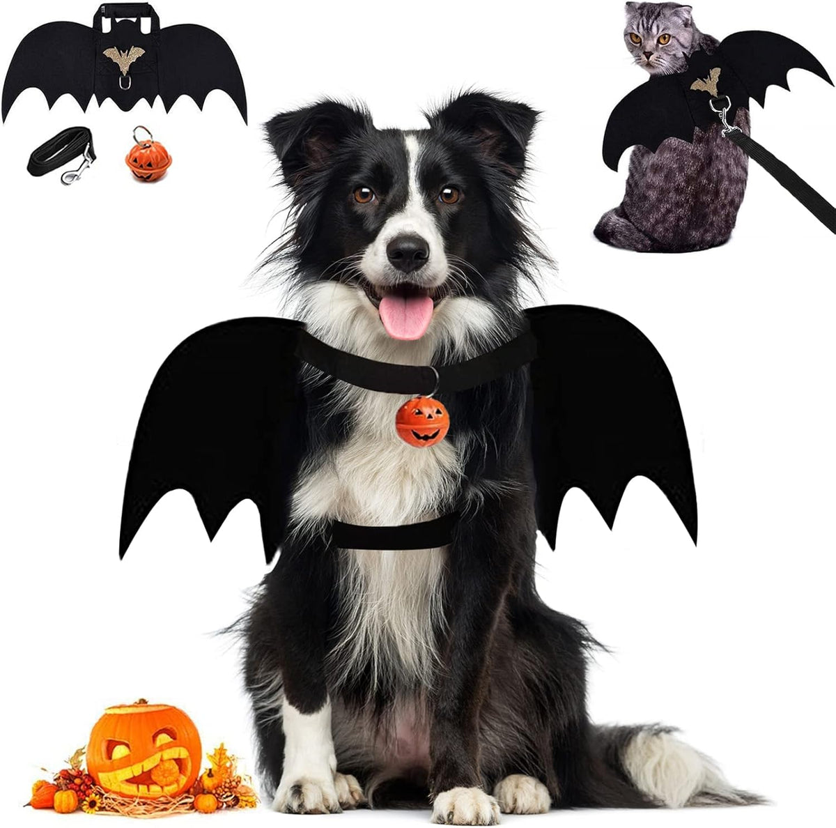 Bat Wings Dog Costume